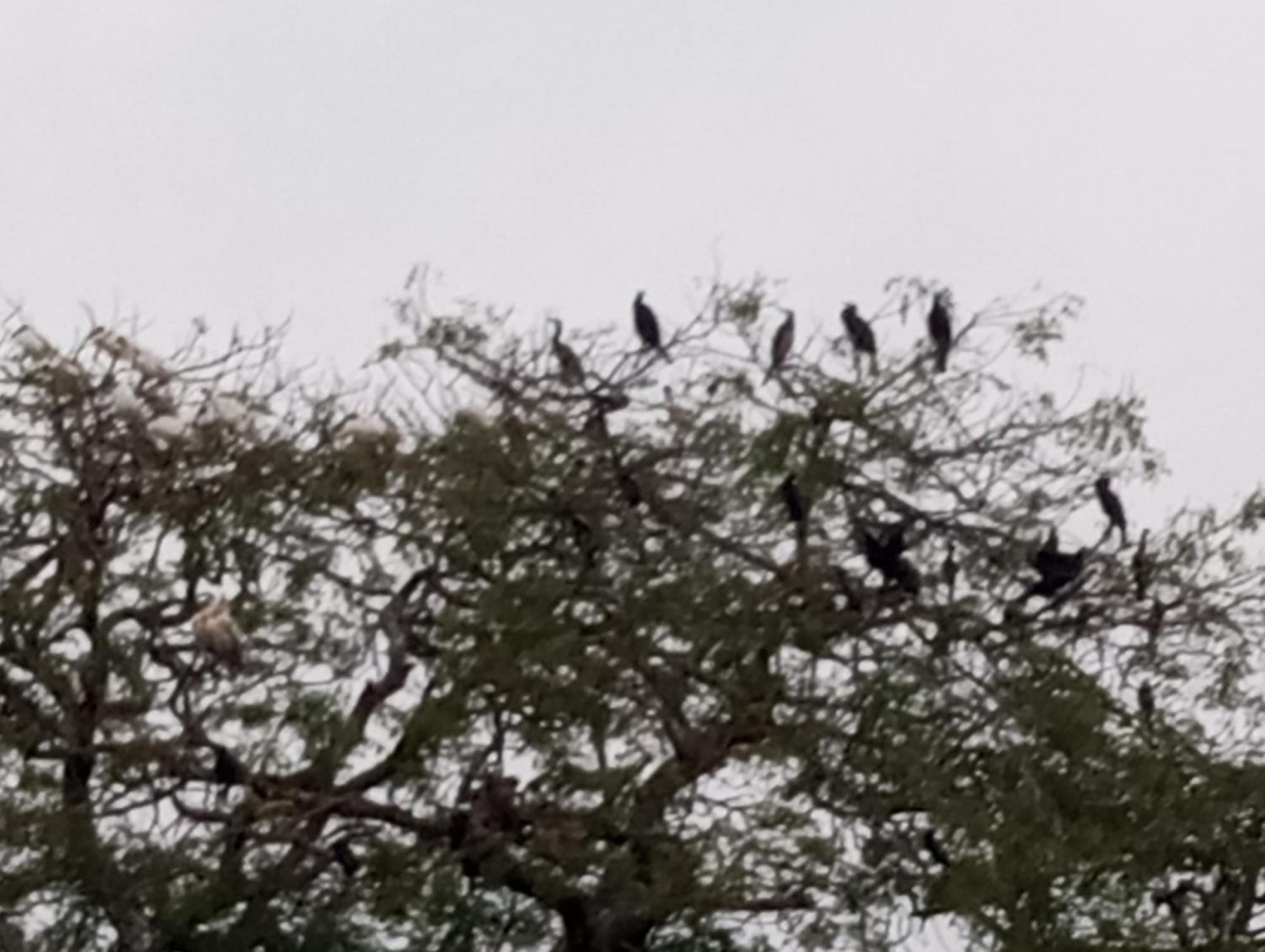 Windy Villa Polonnaruwa Luaran gambar