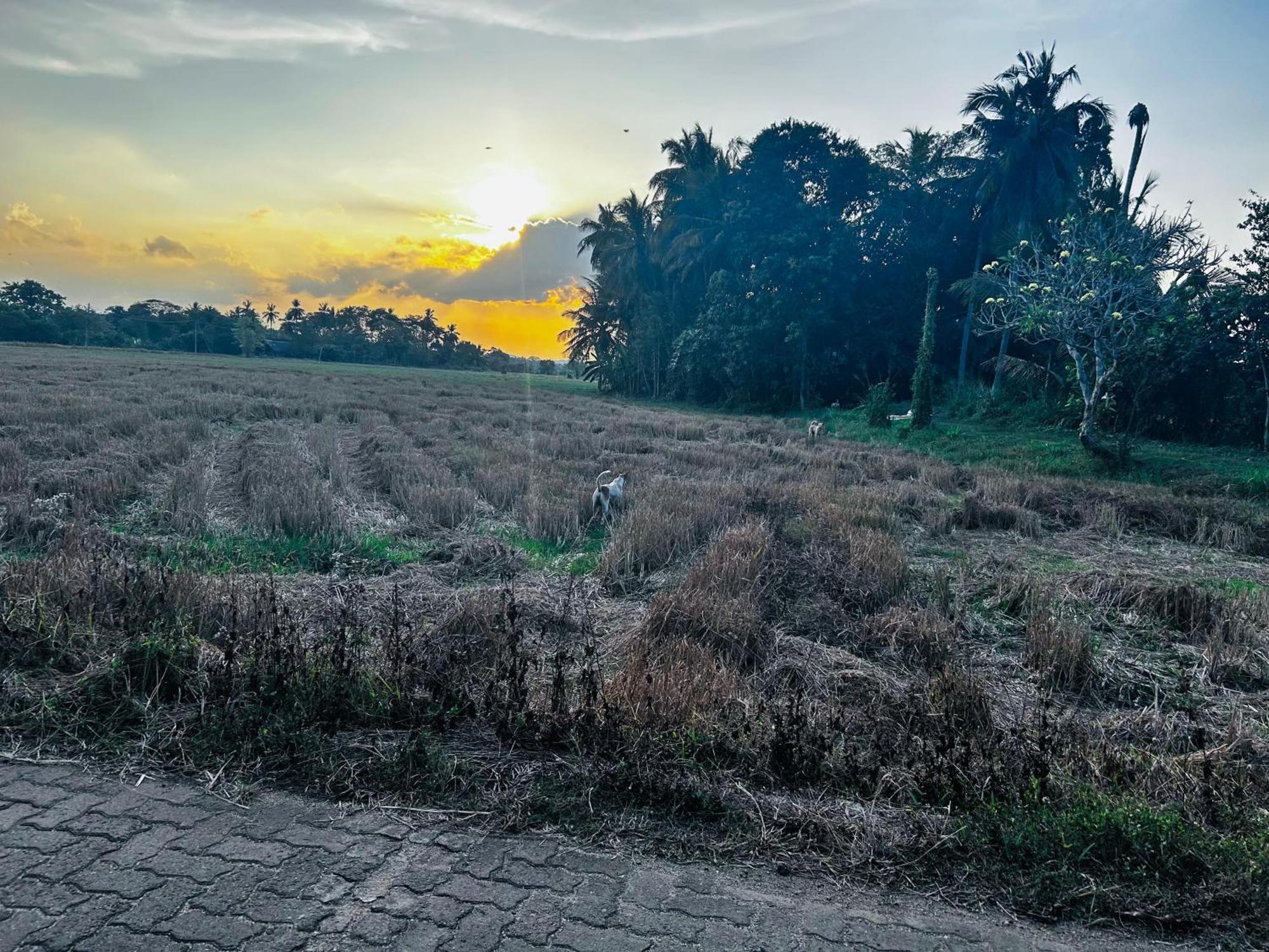 Windy Villa Polonnaruwa Luaran gambar