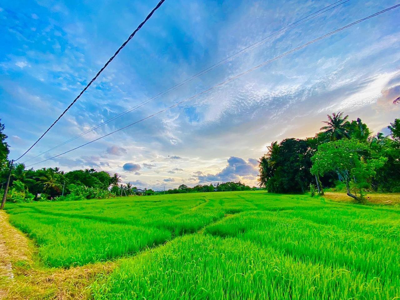 Windy Villa Polonnaruwa Luaran gambar